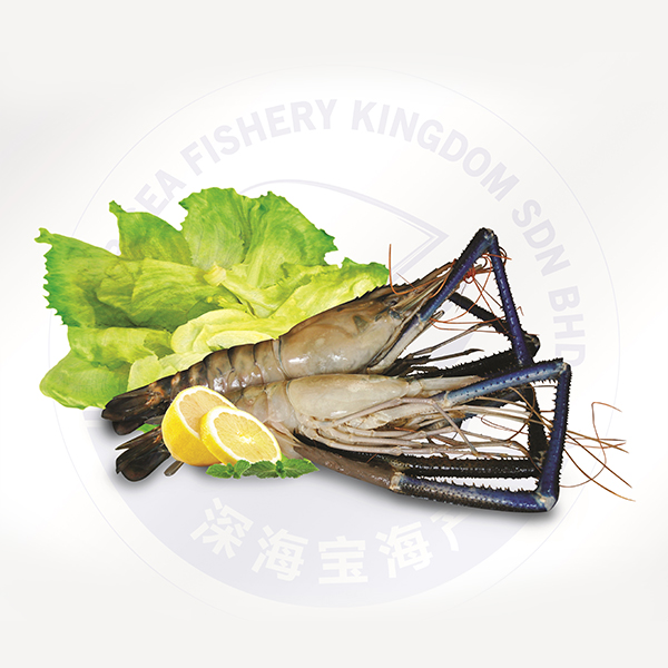 Frozen Prawn