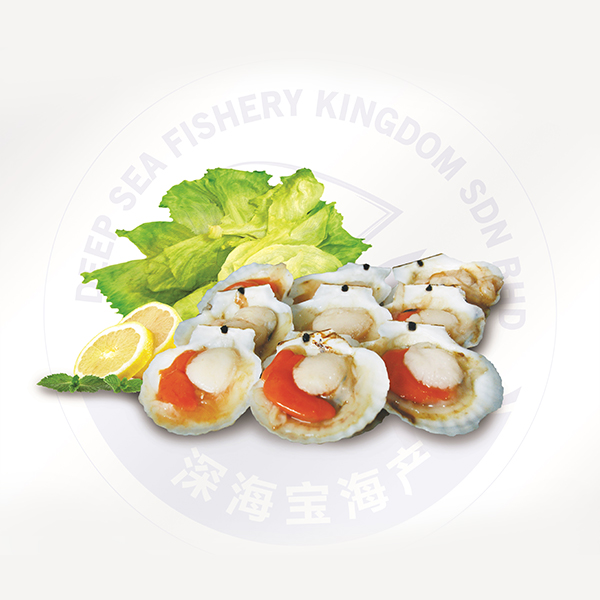 Shell Fish