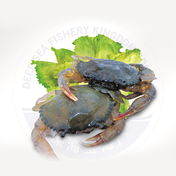 Crab